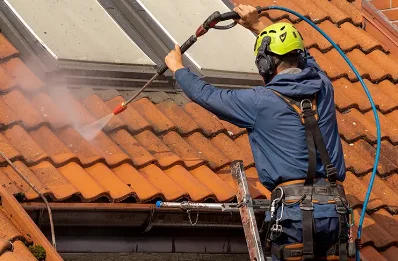 Démoussage et hydrofuge de toiture à Pardines